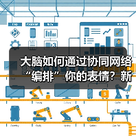 大脑如何通过协同网络“编排”你的表情？新研究颠覆传统认知