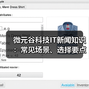 微元谷科技IT新闻知识：常见场景、选择要点与注意事项（图1）