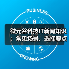 微元谷科技IT新闻知识：常见场景、选择要点与注意事项（图2）