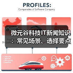 微元谷科技IT新闻知识：常见场景、选择要点与注意事项（图3）